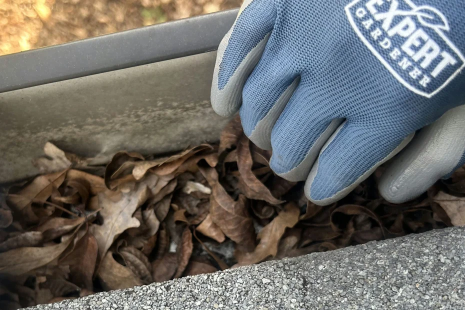 Gutter Cleaning Bossier City