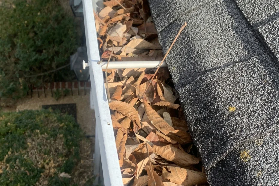 Gutter Cleaning Bossier City